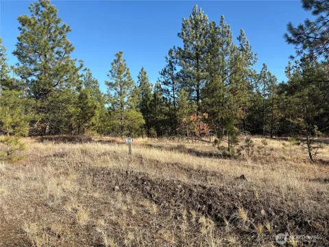 35450 Prairie Lane #Lot 2