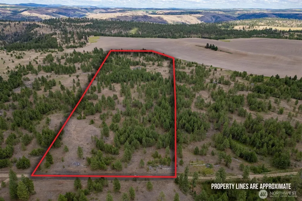35450 Prairie Lane #Lot 2 Creston, WA 99117