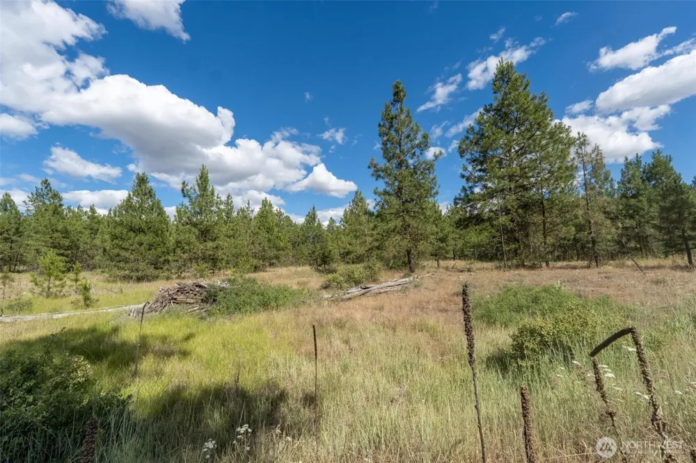 35450 Prairie Lane #Lot 2 Creston, WA 99117