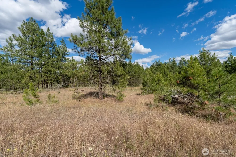 35450 Prairie Lane #Lot 2 Creston, WA 99117