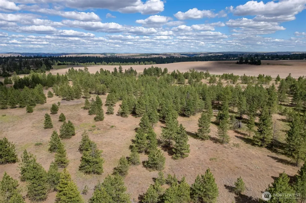 35450 Prairie Lane #Lot 2 Creston, WA 99117