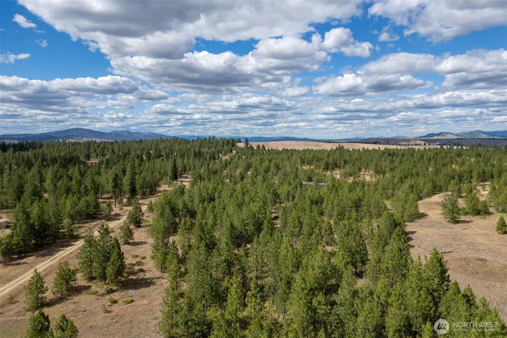 35450 Prairie Lane #Lot 2 Creston, WA 99117