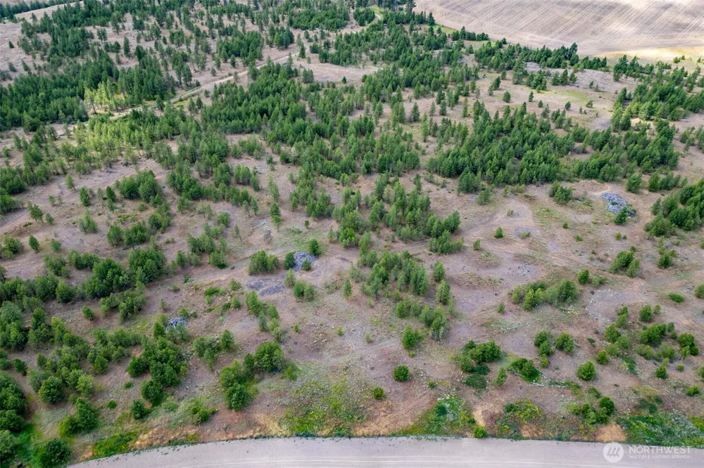 35450 Prairie Lane #Lot 2 Creston, WA 99117