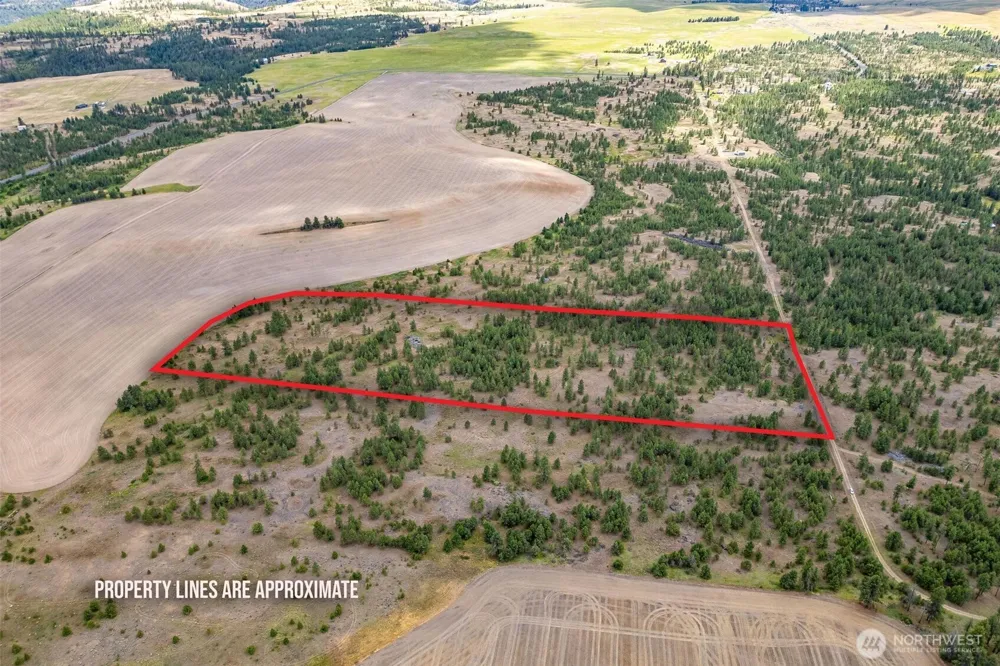 35450 Prairie Lane #Lot 2 Creston, WA 99117
