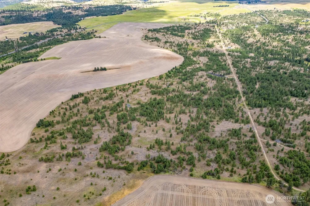 35450 Prairie Lane #Lot 2 Creston, WA 99117