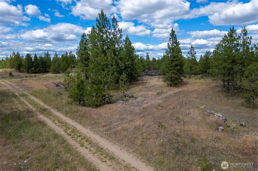 35410 Prairie Lane #Lot 4 Creston, WA 99117