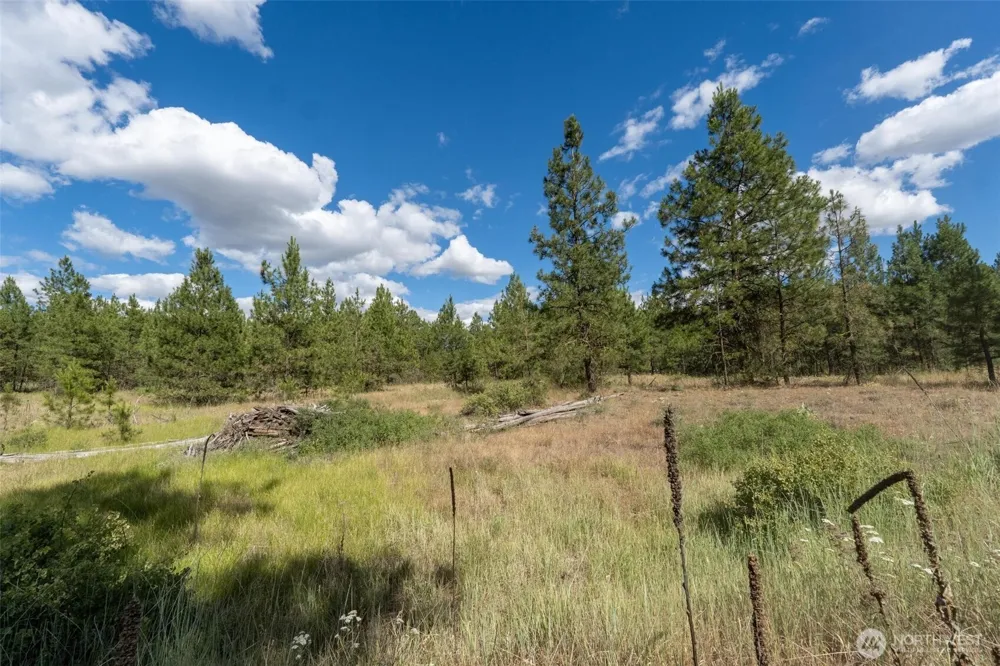 35410 Prairie Lane #Lot 4 Creston, WA 99117