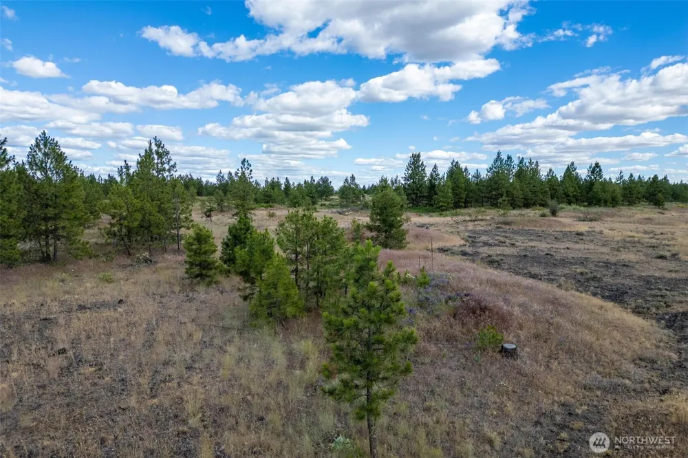 35410 Prairie Lane #Lot 4 Creston, WA 99117