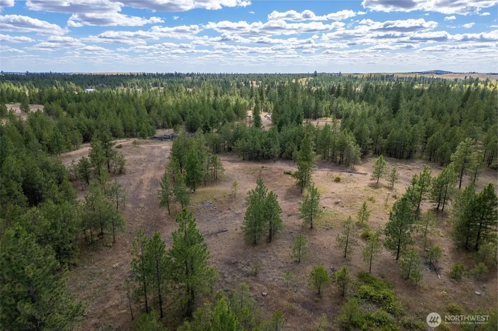 35410 Prairie Lane #Lot 4 Creston, WA 99117