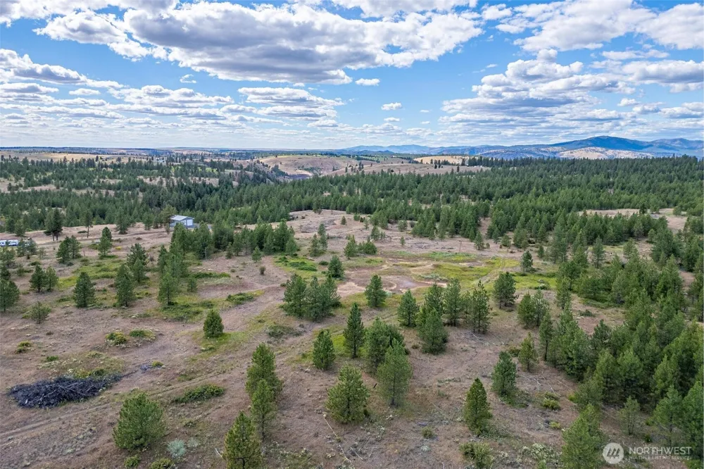 35410 Prairie Lane #Lot 4 Creston, WA 99117