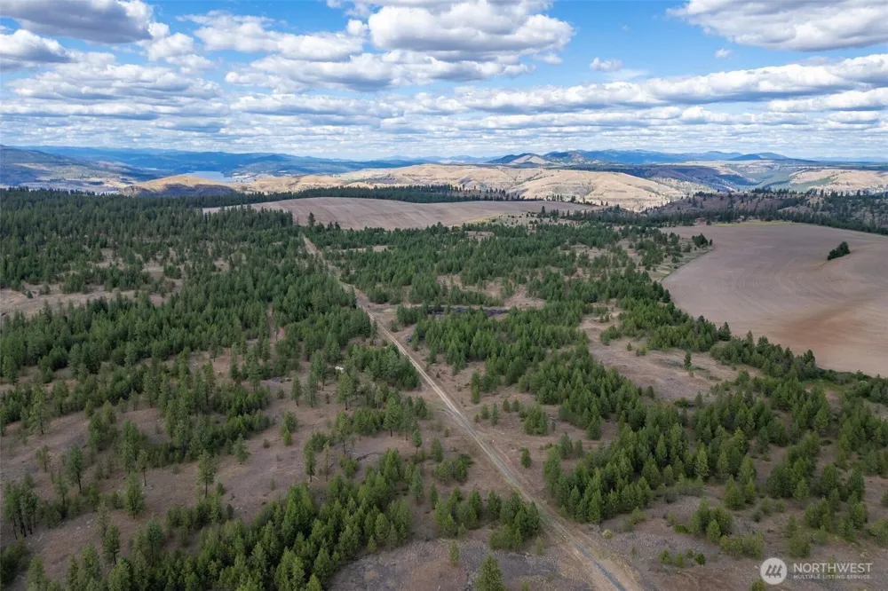 35410 Prairie Lane #Lot 4 Creston, WA 99117