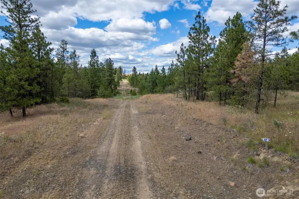 35430 Prairie Lane #Lot 3 Creston, WA 99117