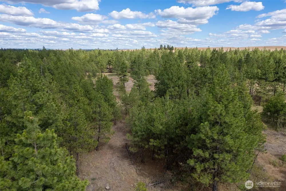 35430 Prairie Lane #Lot 3 Creston, WA 99117