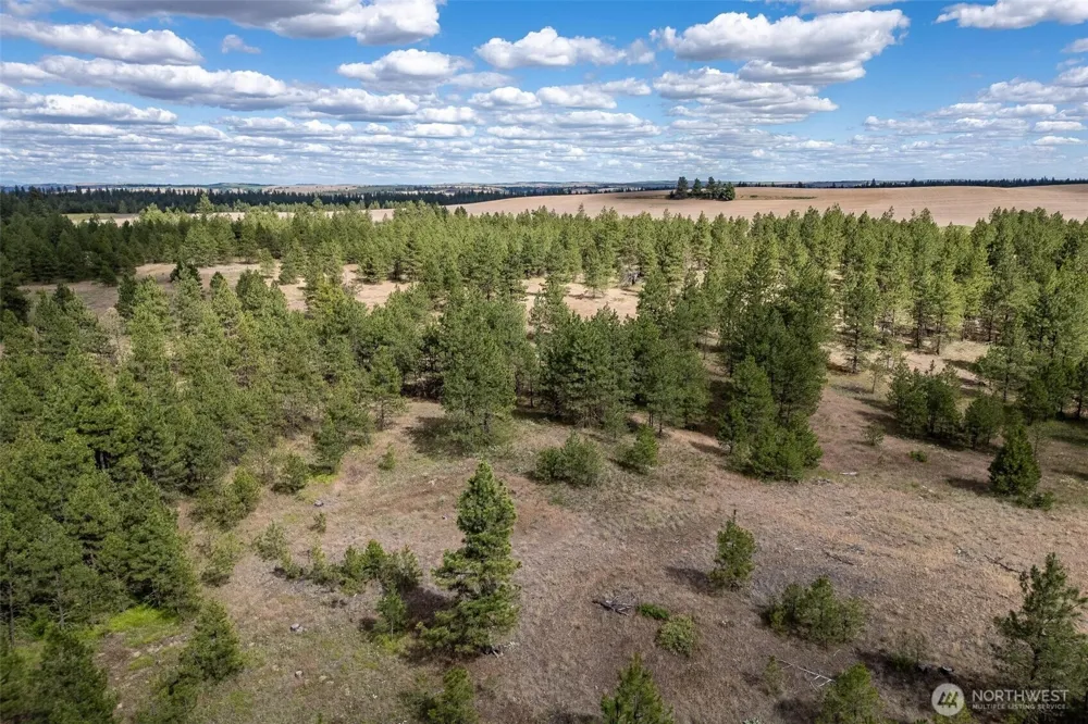 35430 Prairie Lane #Lot 3 Creston, WA 99117