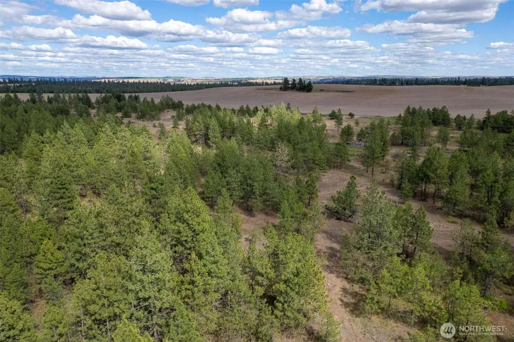 35430 Prairie Lane #Lot 3 Creston, WA 99117