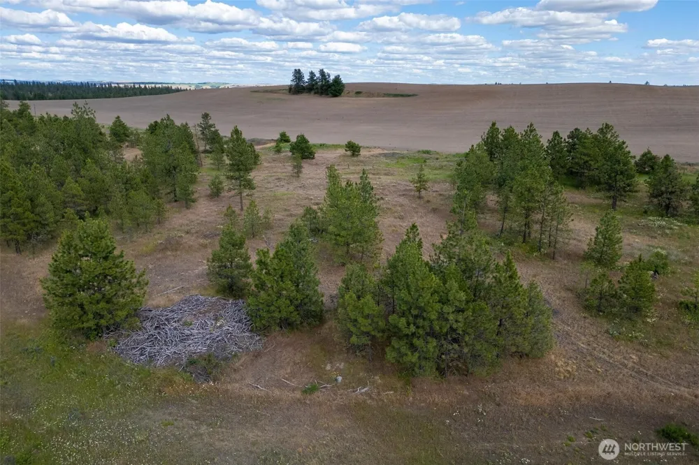 35430 Prairie Lane #Lot 3 Creston, WA 99117