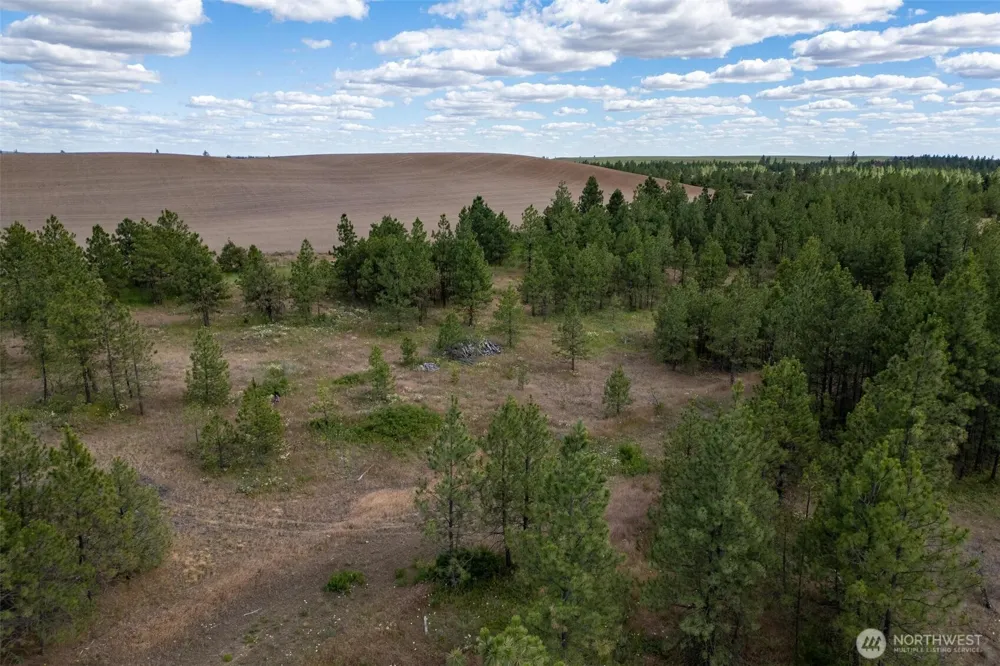 35430 Prairie Lane #Lot 3 Creston, WA 99117