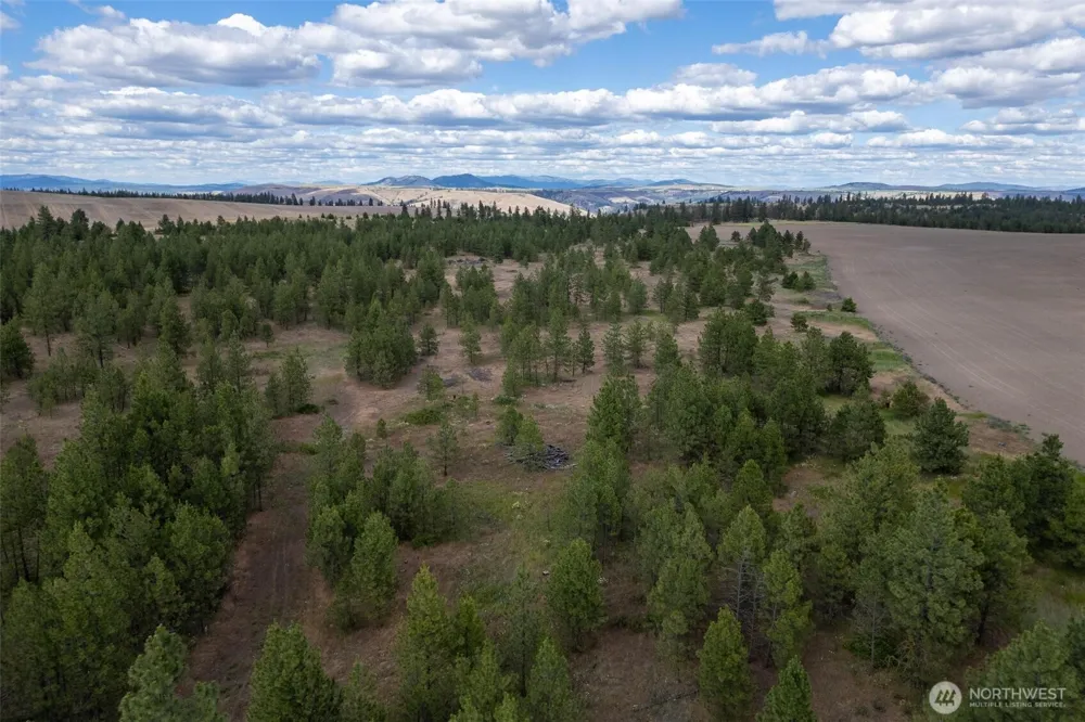 35430 Prairie Lane #Lot 3 Creston, WA 99117