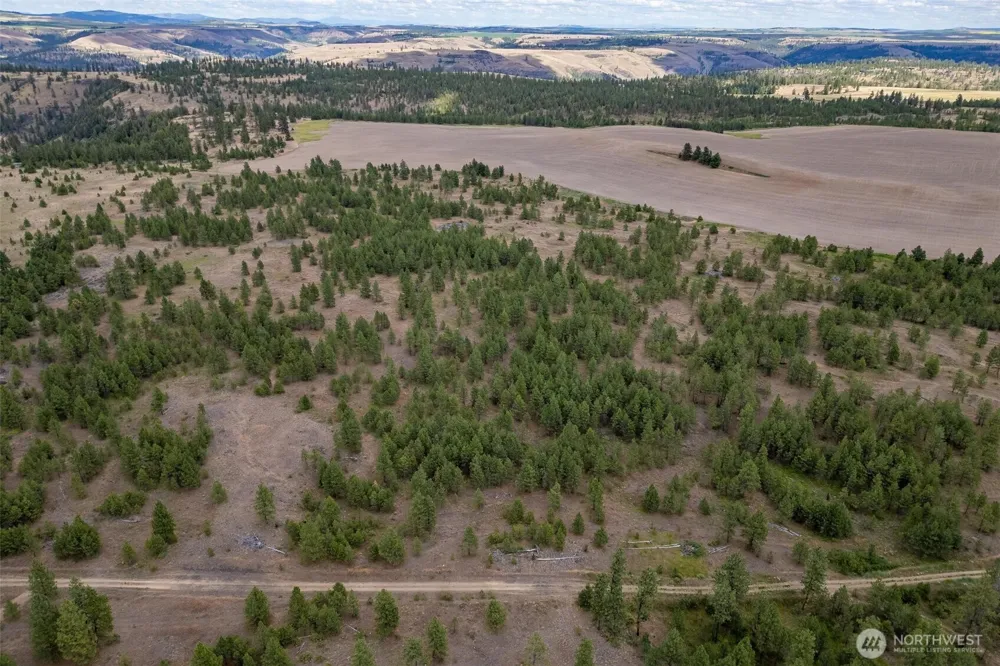 35430 Prairie Lane #Lot 3 Creston, WA 99117