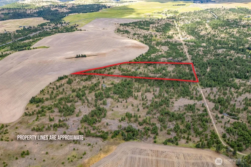 35430 Prairie Lane #Lot 3 Creston, WA 99117