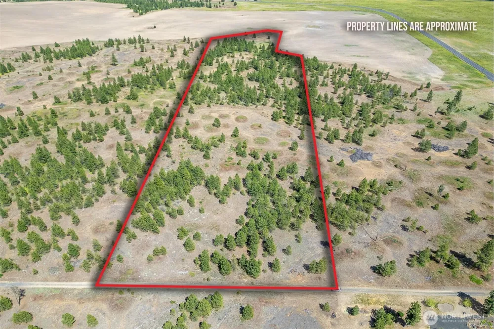 35350 Prairie Lane #Lot 7 Creston, WA 99112