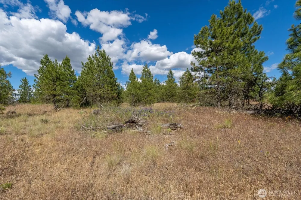 35350 Prairie Lane #Lot 7 Creston, WA 99112