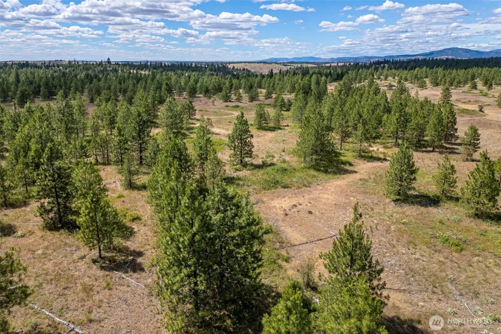 35350 Prairie Lane #Lot 7 Creston, WA 99112