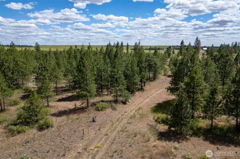 35350 Prairie Lane #Lot 7 Creston, WA 99112