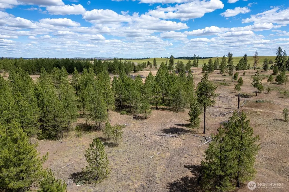 35350 Prairie Lane #Lot 7 Creston, WA 99112