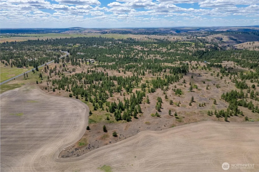 35350 Prairie Lane #Lot 7 Creston, WA 99112
