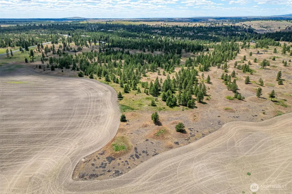 35350 Prairie Lane #Lot 7 Creston, WA 99112