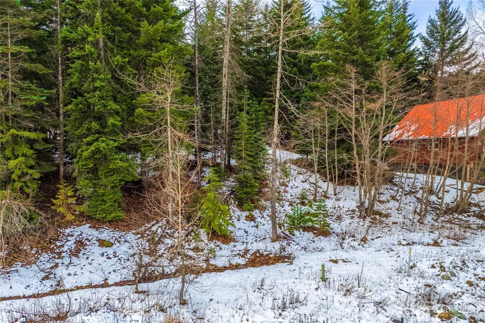 6 Xxxxx Hyak Dr E Snoqualmie Pass, WA 98068