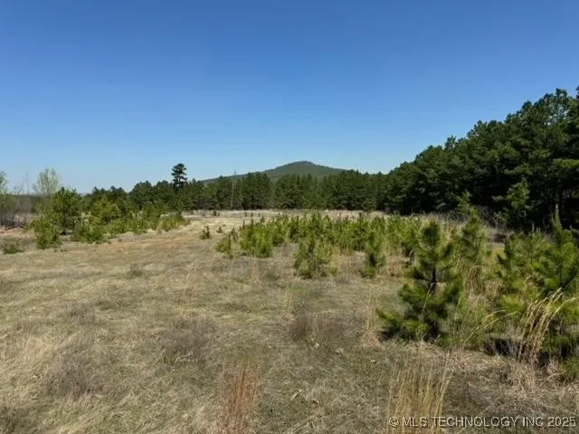 2 NW 196th Road Wilburton, OK 74578