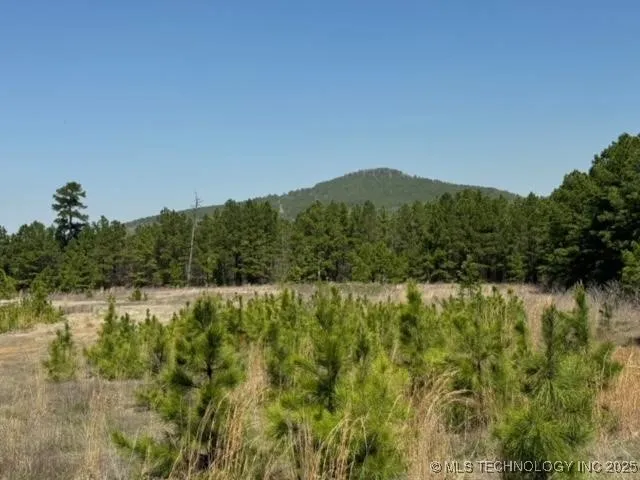 2 NW 196th Road Wilburton, OK 74578