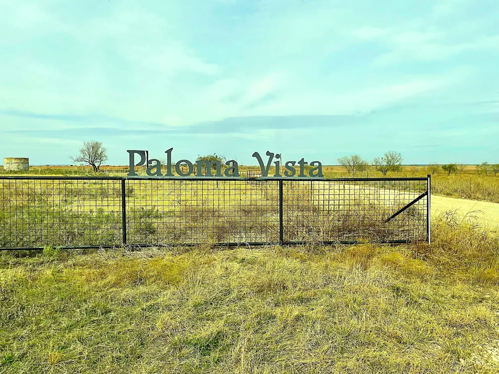 2335 County Road 619 Pottsville, TX 76565