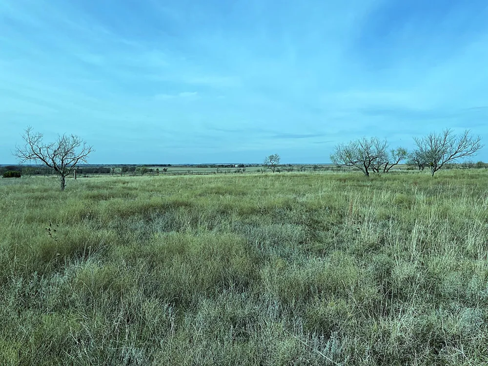 2335 County Road 619 Pottsville, TX 76565