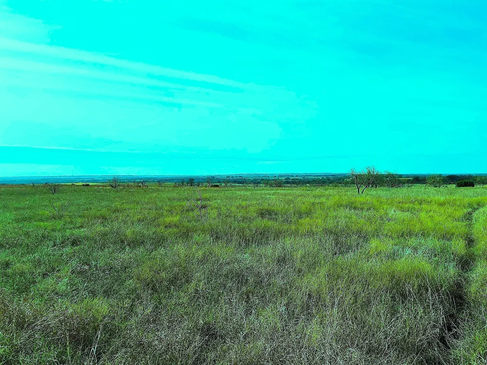 2335 County Road 619 Pottsville, TX 76565