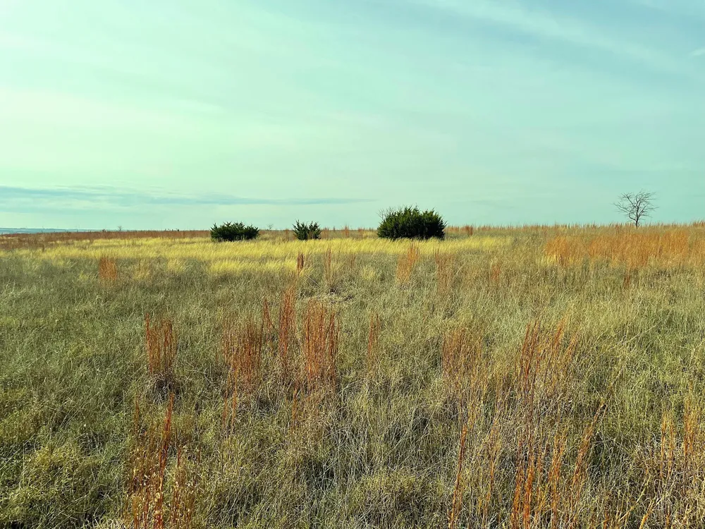 2245 County Road 619 Pottsville, TX 76565