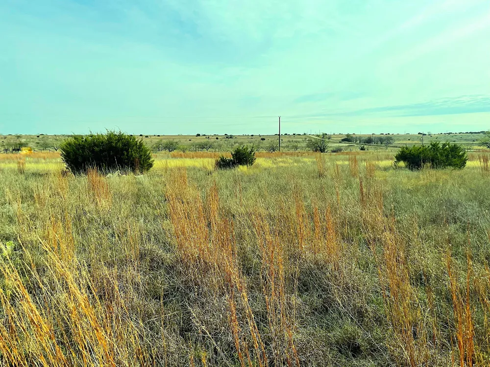 2245 County Road 619 Pottsville, TX 76565
