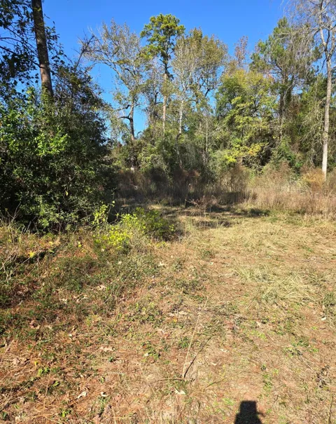 10287 Wanda Lane