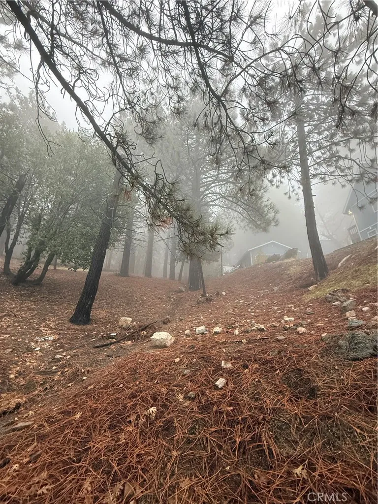 Poplar Running Springs, CA 92382