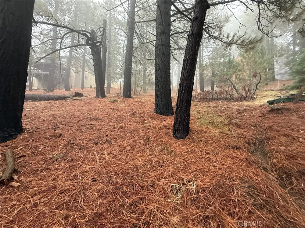 Poplar Running Springs, CA 92382