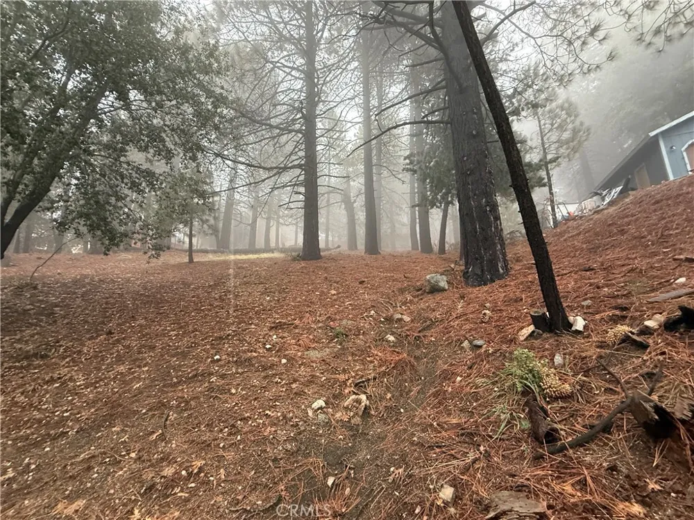 Poplar Running Springs, CA 92382