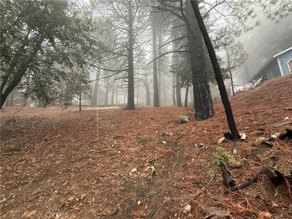 Poplar Running Springs, CA 92382