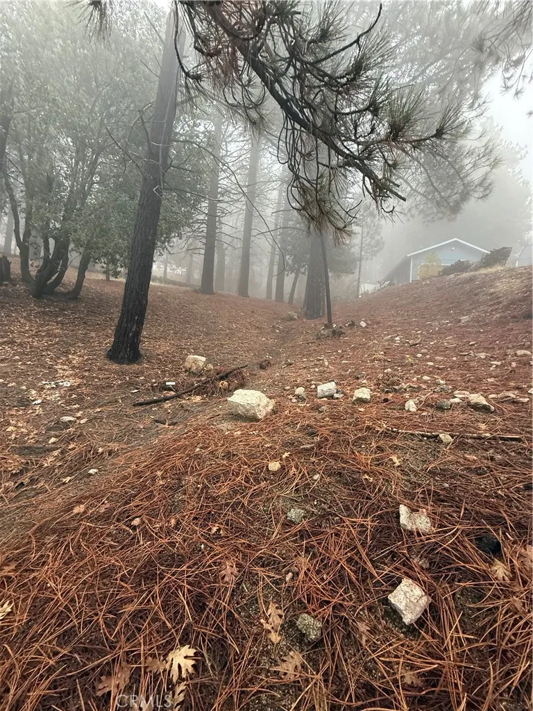 Poplar Running Springs, CA 92382