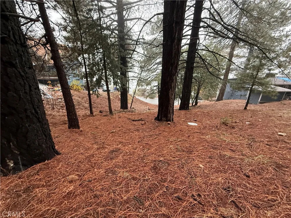 Poplar Running Springs, CA 92382