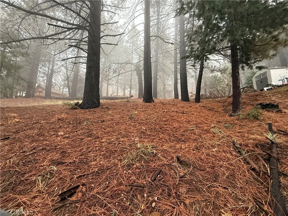Poplar Running Springs, CA 92382