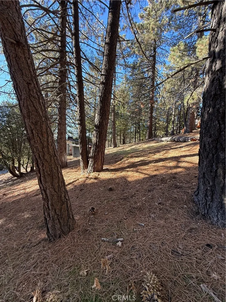 Poplar Running Springs, CA 92382
