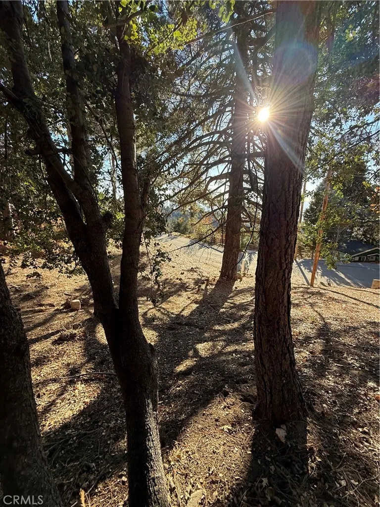 Poplar Running Springs, CA 92382