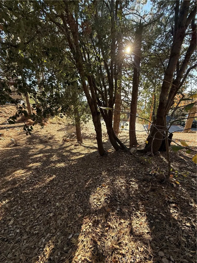 Poplar Running Springs, CA 92382